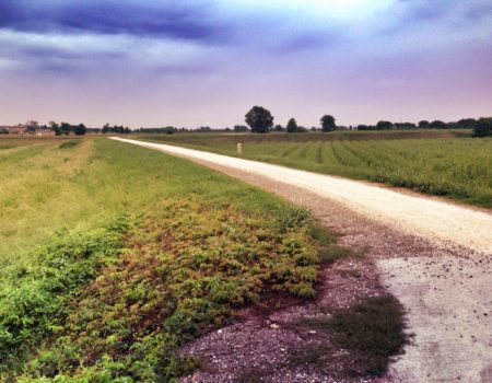 An unexpected pilgrimage