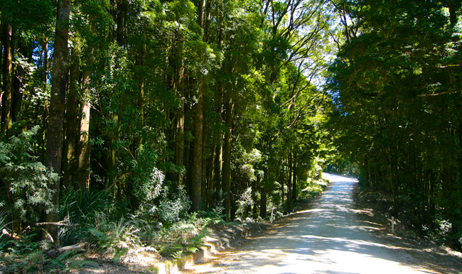 Tasmania Road